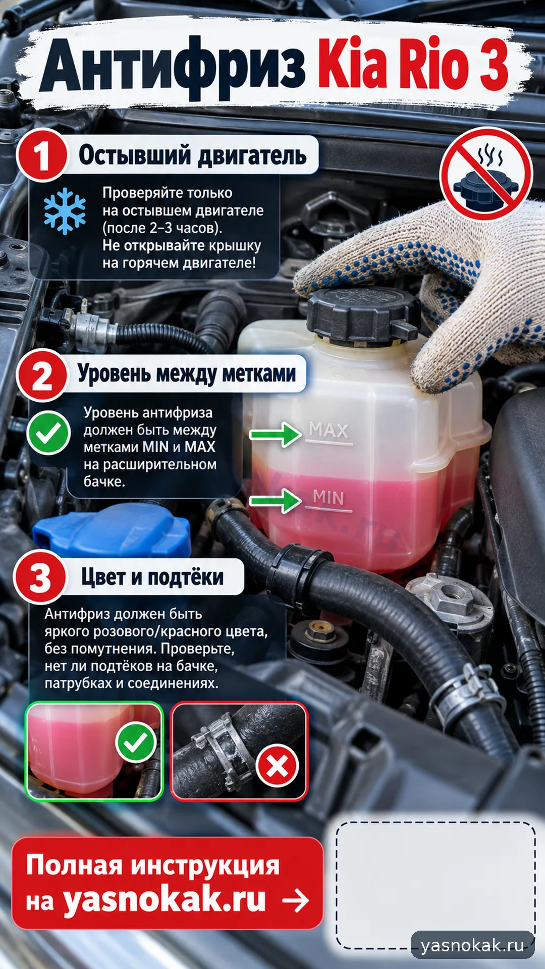 Схема: Как проверить антифриз Kia Rio 3